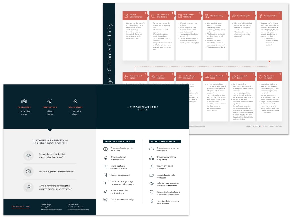 Customer Centricity Model Preview.001